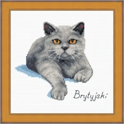 Schemat do haftu Kot brytyjski | Skorzystaj teraz