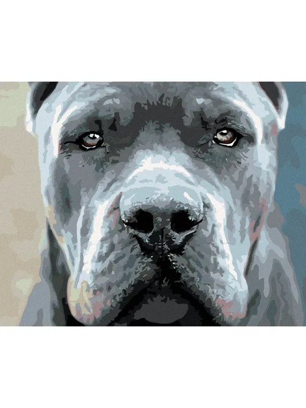 Klienci polecają - Haft diamentowy - Cane Corso