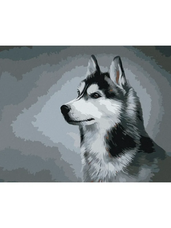 Bardzo popularny produkt | Haft diamentowy - HUSKY SYBERYJSKI