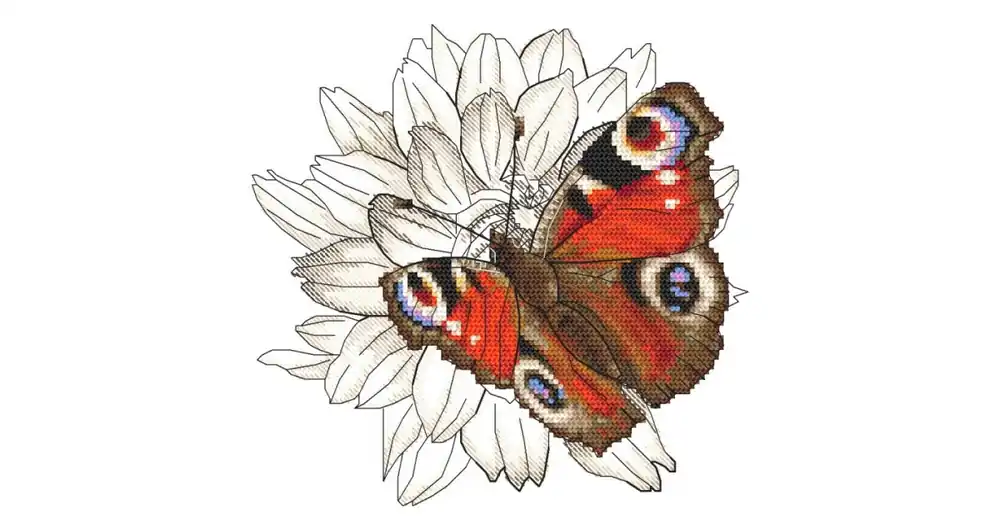 Oferta | Zestaw do haftu - Motyl i kwiat dalii