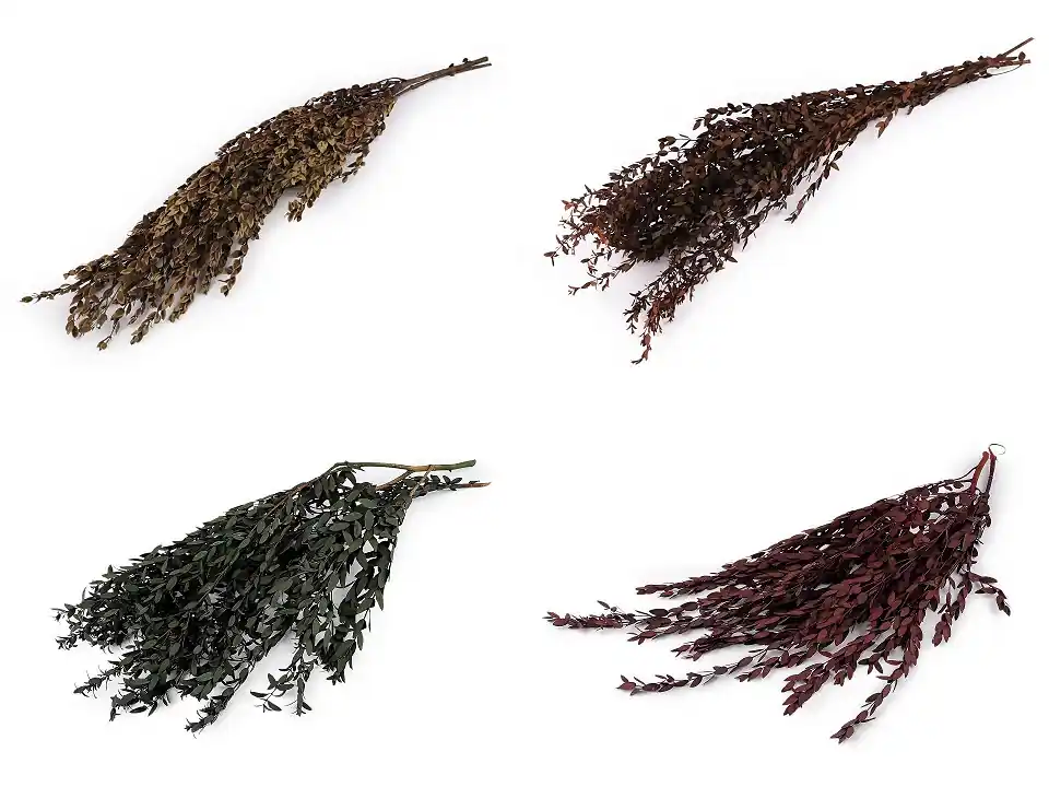 Stabilizowana wiązka drzewa oliwnego - Cena producenta